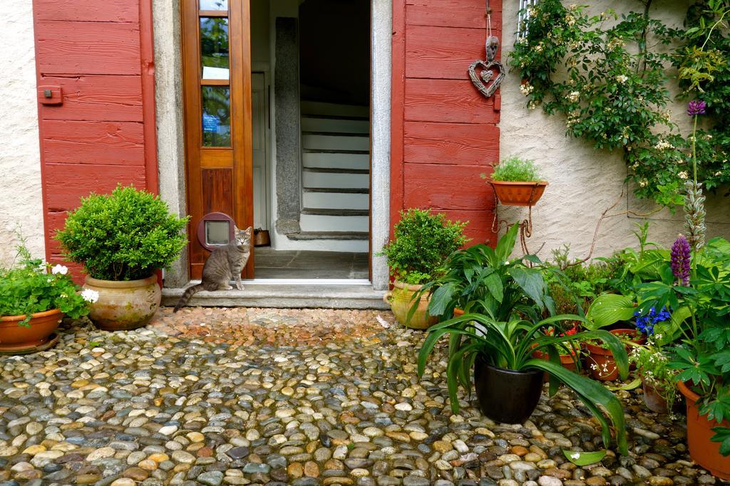 Bed & Breakfast Uvablu Trontano Екстериор снимка