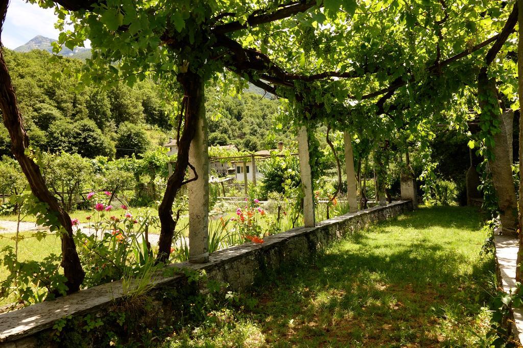 Bed & Breakfast Uvablu Trontano Екстериор снимка