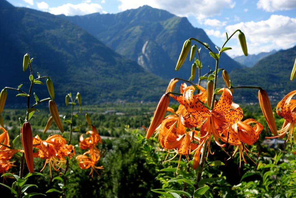 Bed & Breakfast Uvablu Trontano Екстериор снимка